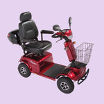 Electric Mobility Pioneer